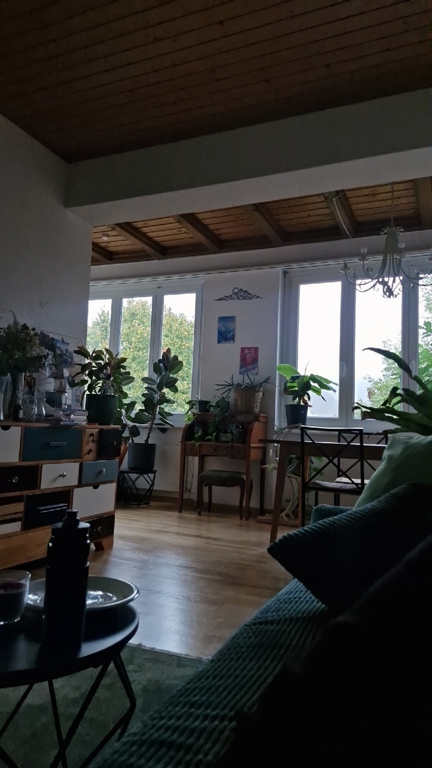 Room in a shared flat