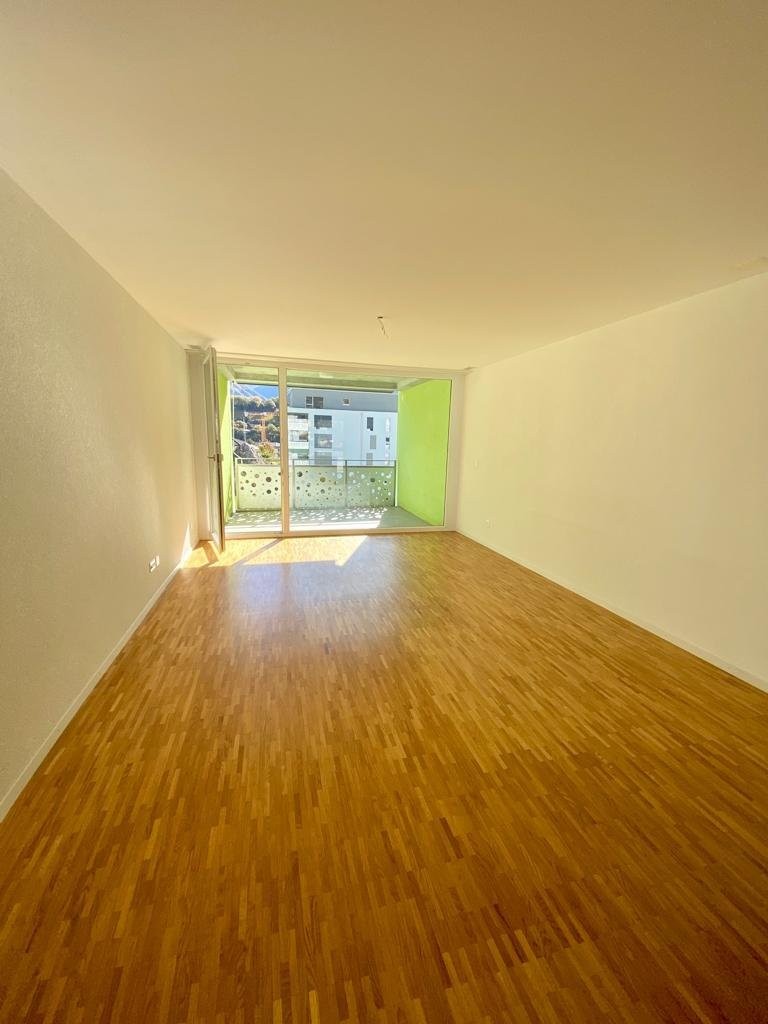 3 ½ Zimmer Wohnung