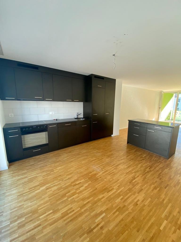 3 ½ Zimmer Wohnung