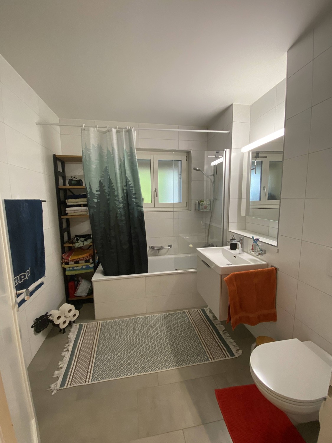 2 ½ rooms apartment