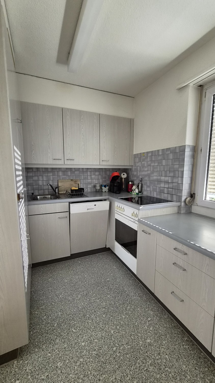 4 ½ rooms apartment