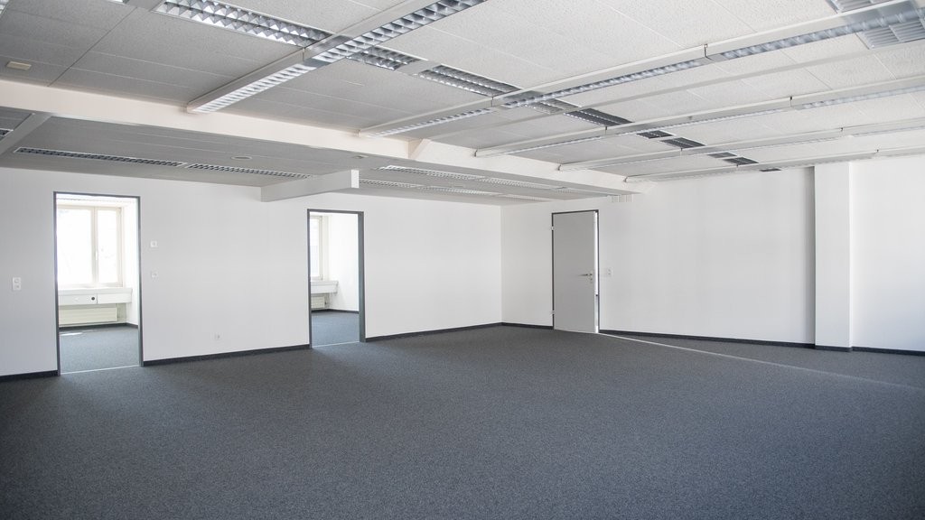 295m² bureau