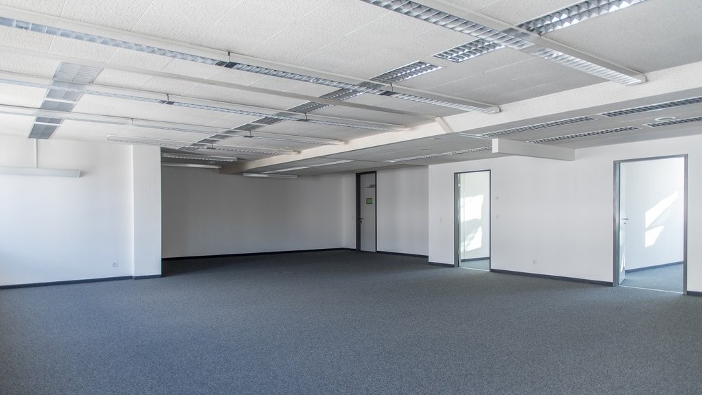 295m² bureau