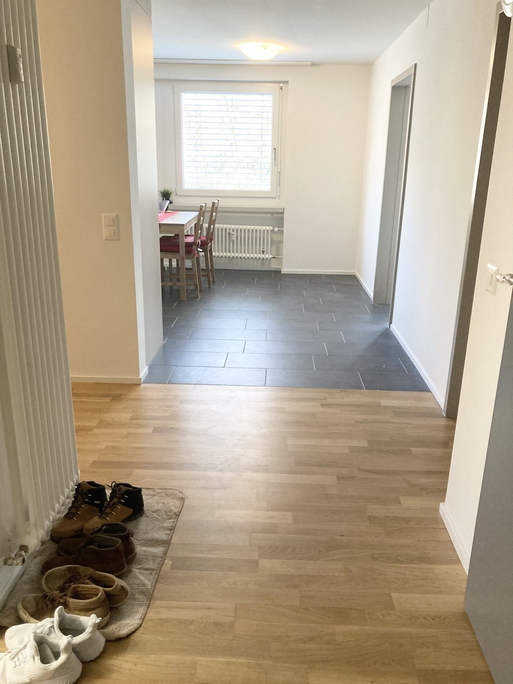 Room in a shared flat
