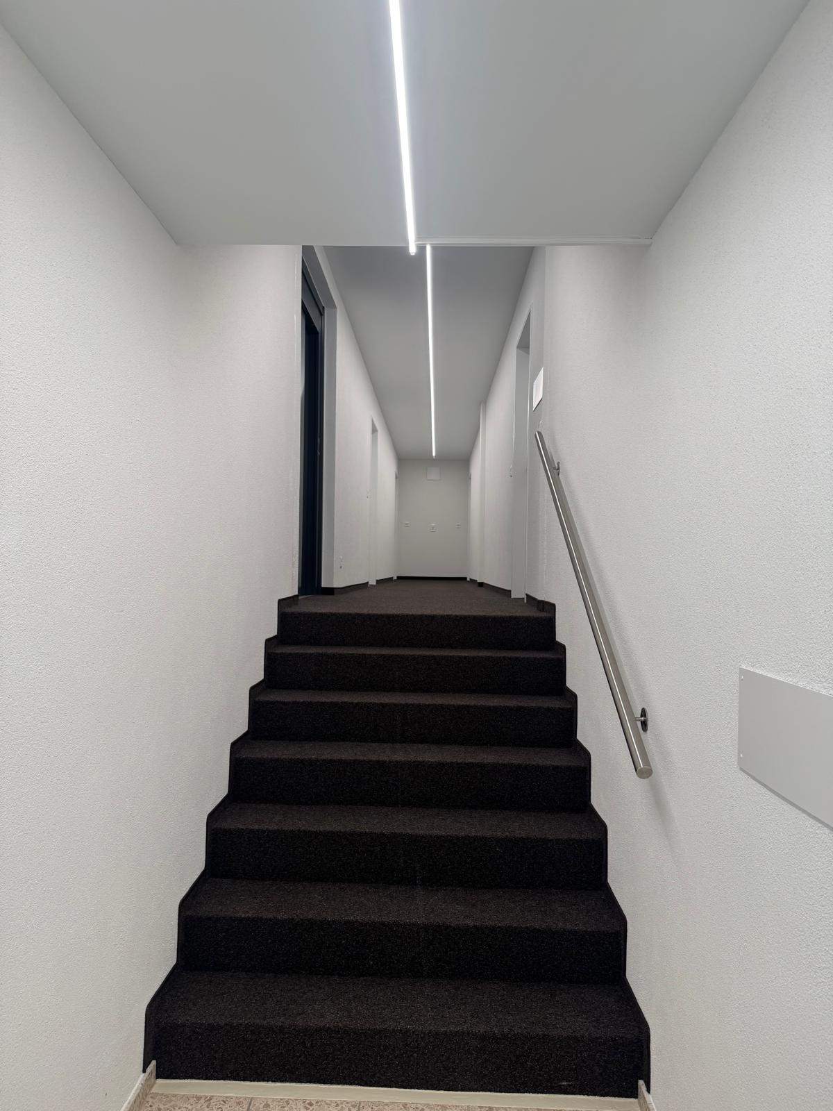 Appartement 1 pièce