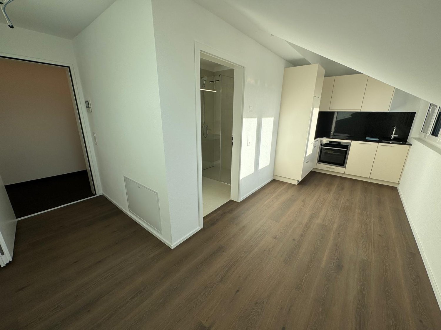 Appartement 1 pièce