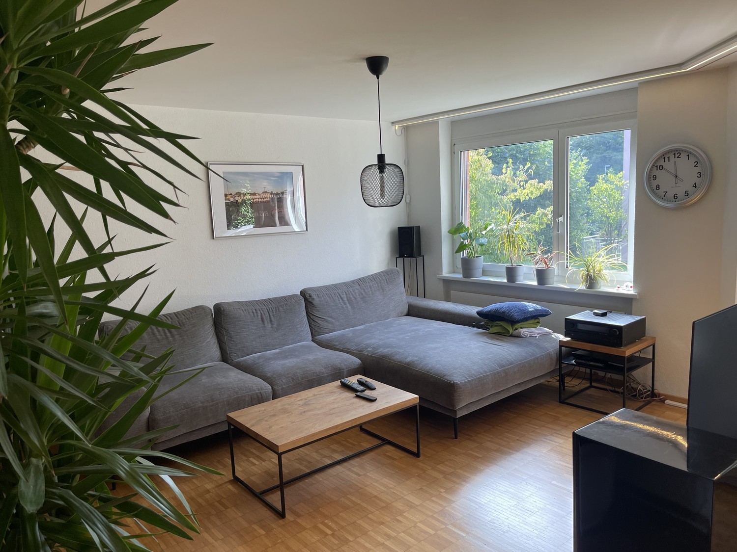 Room in a shared flat