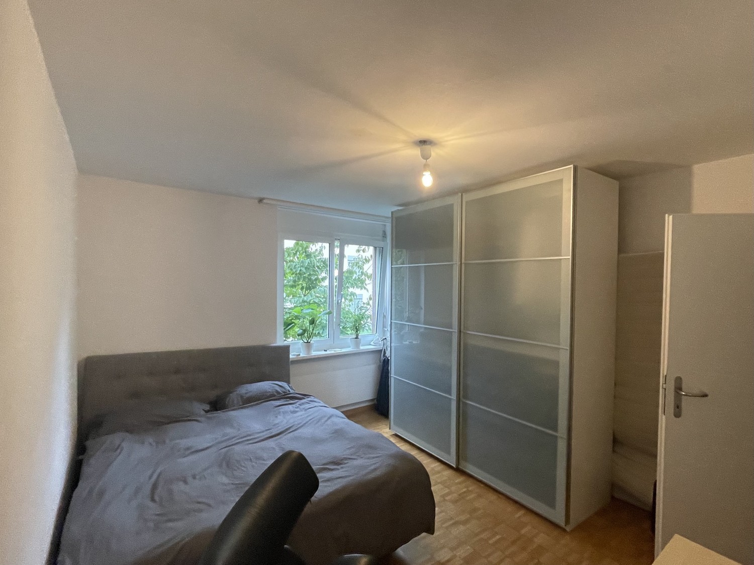 Room in a shared flat