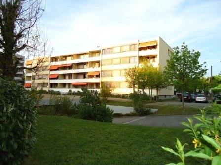 1 room apartment, Foto 1 von 5