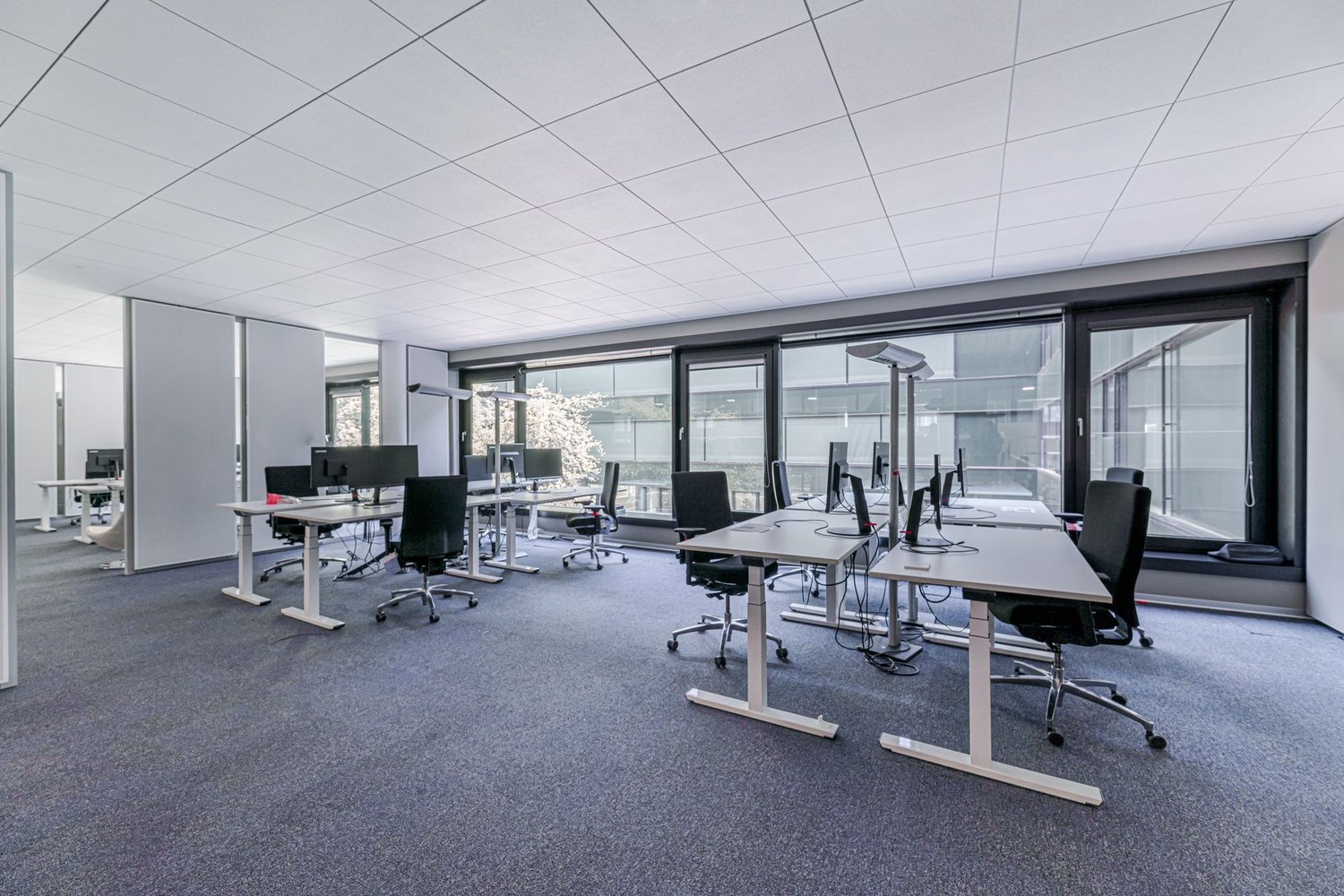 4500m² ufficio, foto 5 di 10