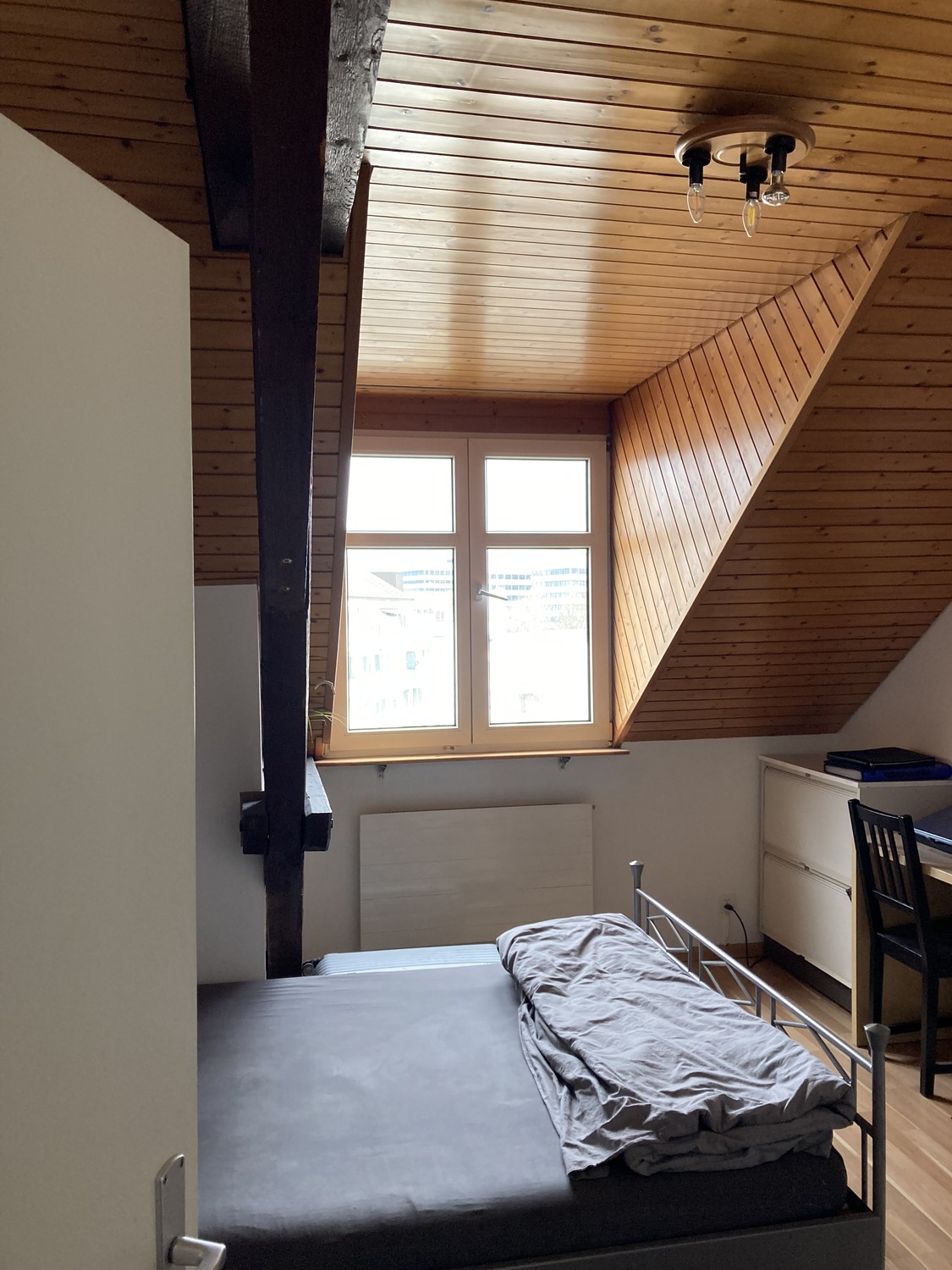 Room in a shared flat