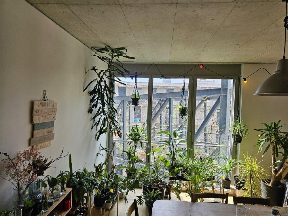 Room in a shared flat