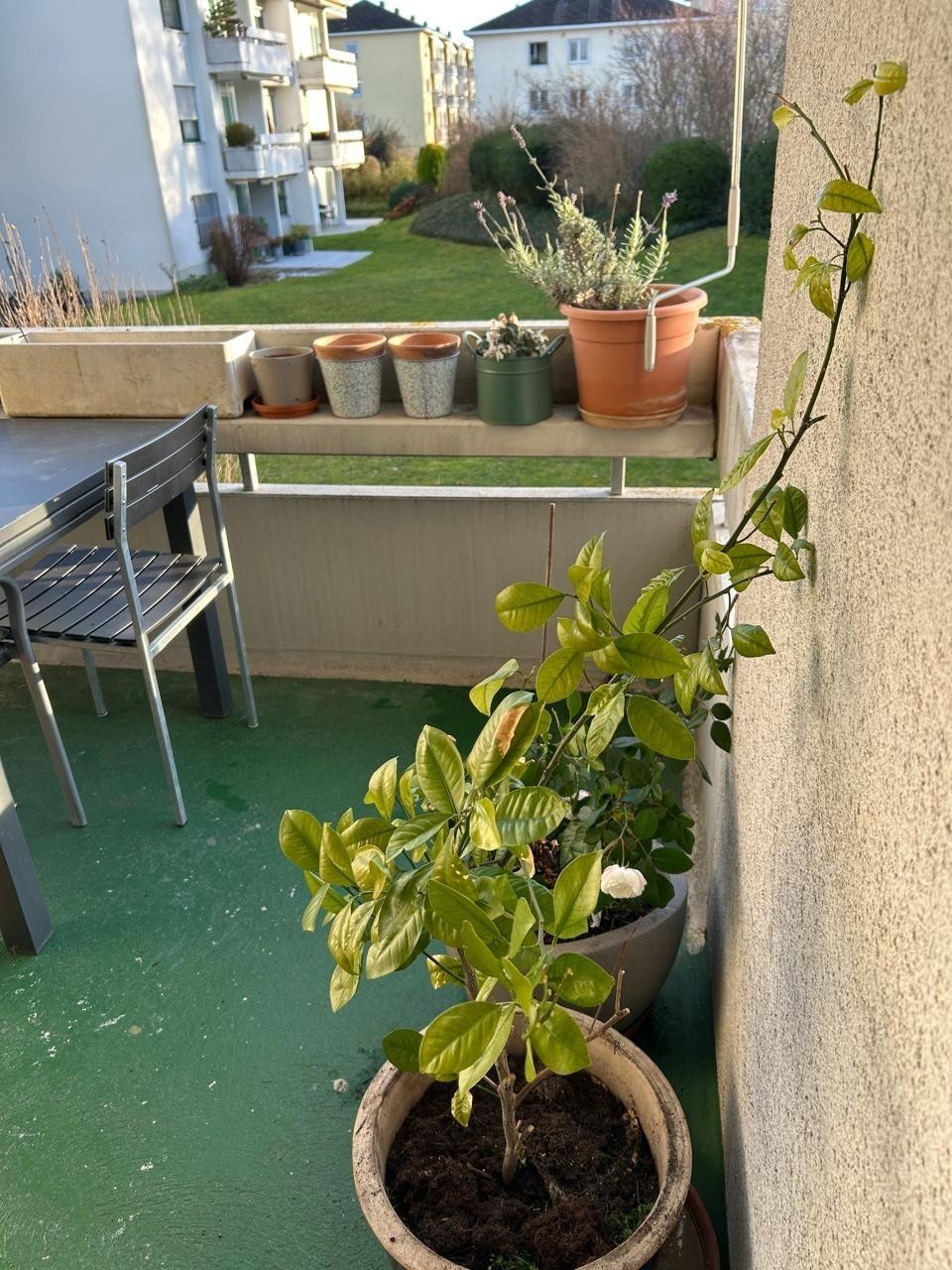 2 ½ Zimmer Wohnung, Foto 5 von 10