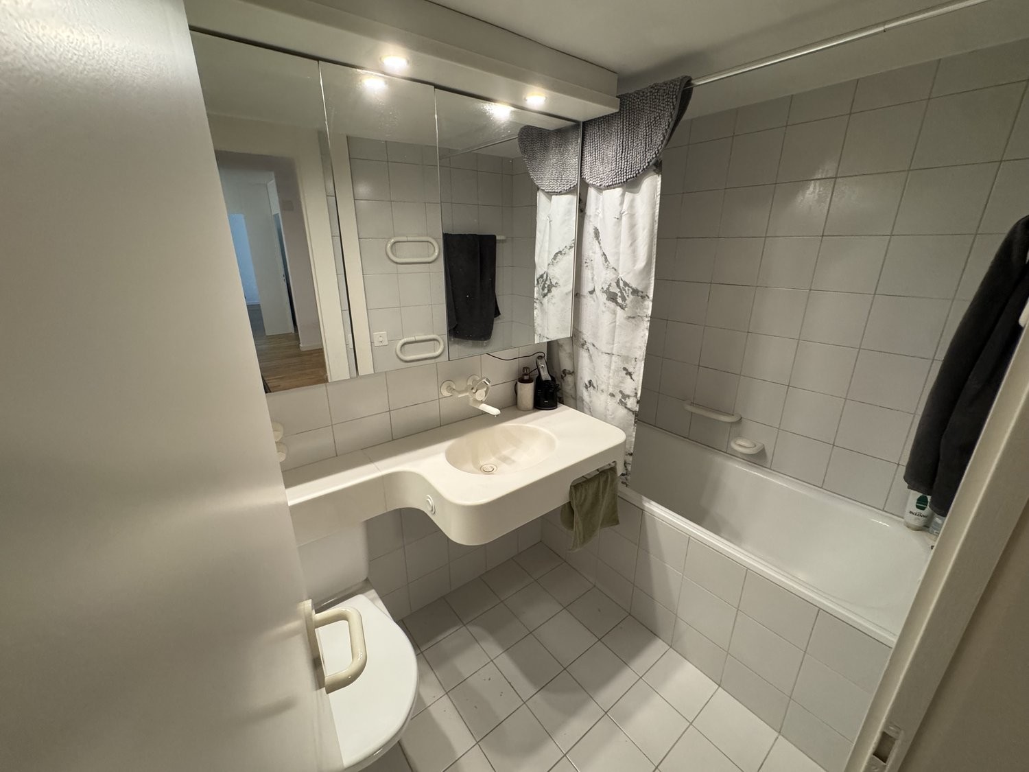 4 ½ rooms furnished flat
