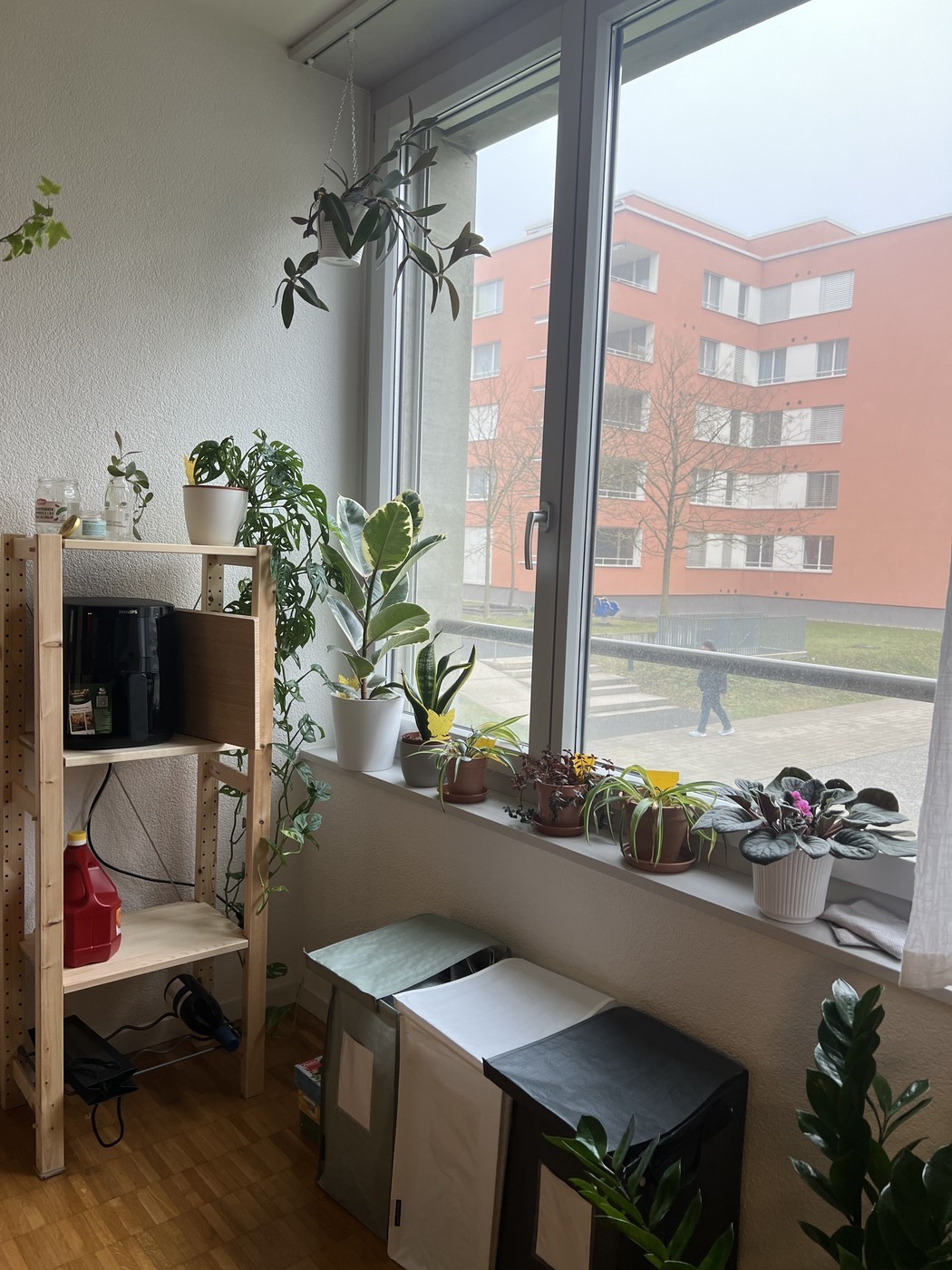 2 ½ rooms apartment, photo 4 of 8
