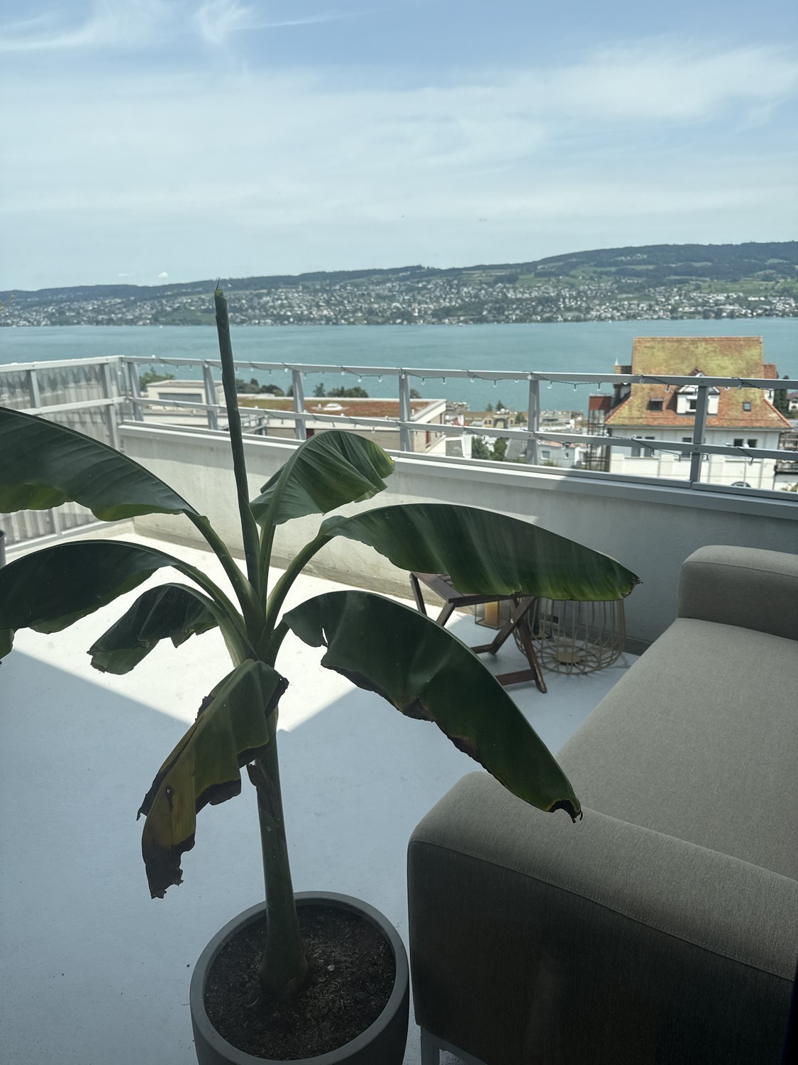 Appartement de 2 ½ pièces

Disponible pour trois mois avec des dates d'entrée et de sortie flexibles. Animaux acceptés.