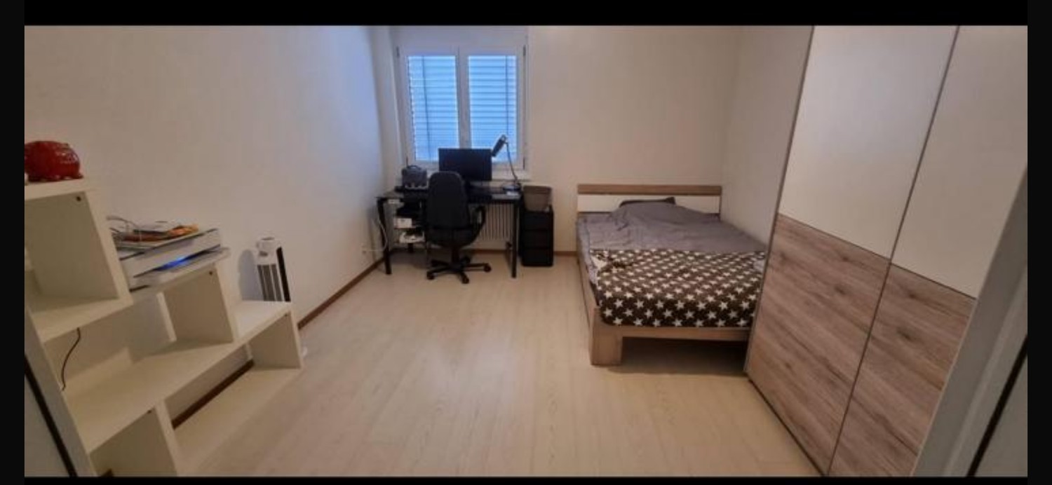 3 ½ rooms apartment (5)