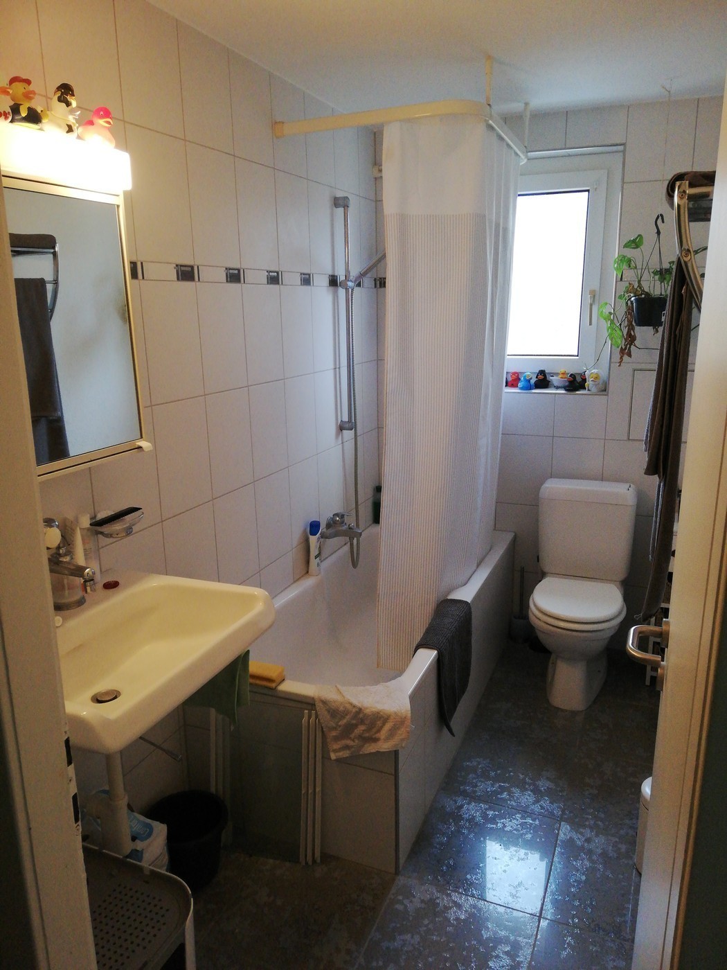 Room in a shared flat