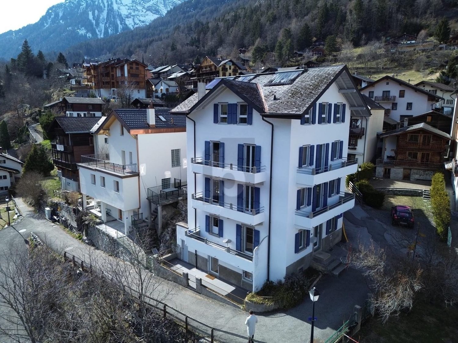 12 ½ rooms multi family house