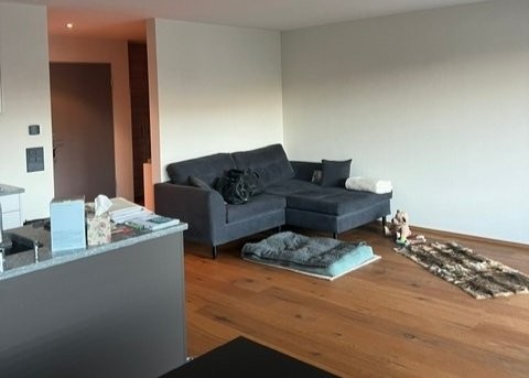 Appartement meublé de 1 ½ pièces
