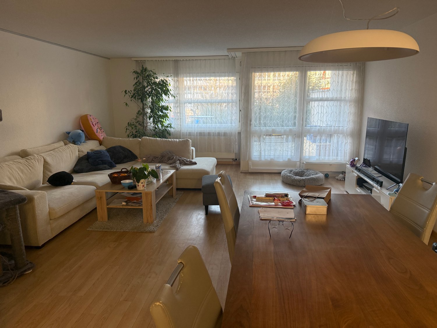 Chambre en colocation
