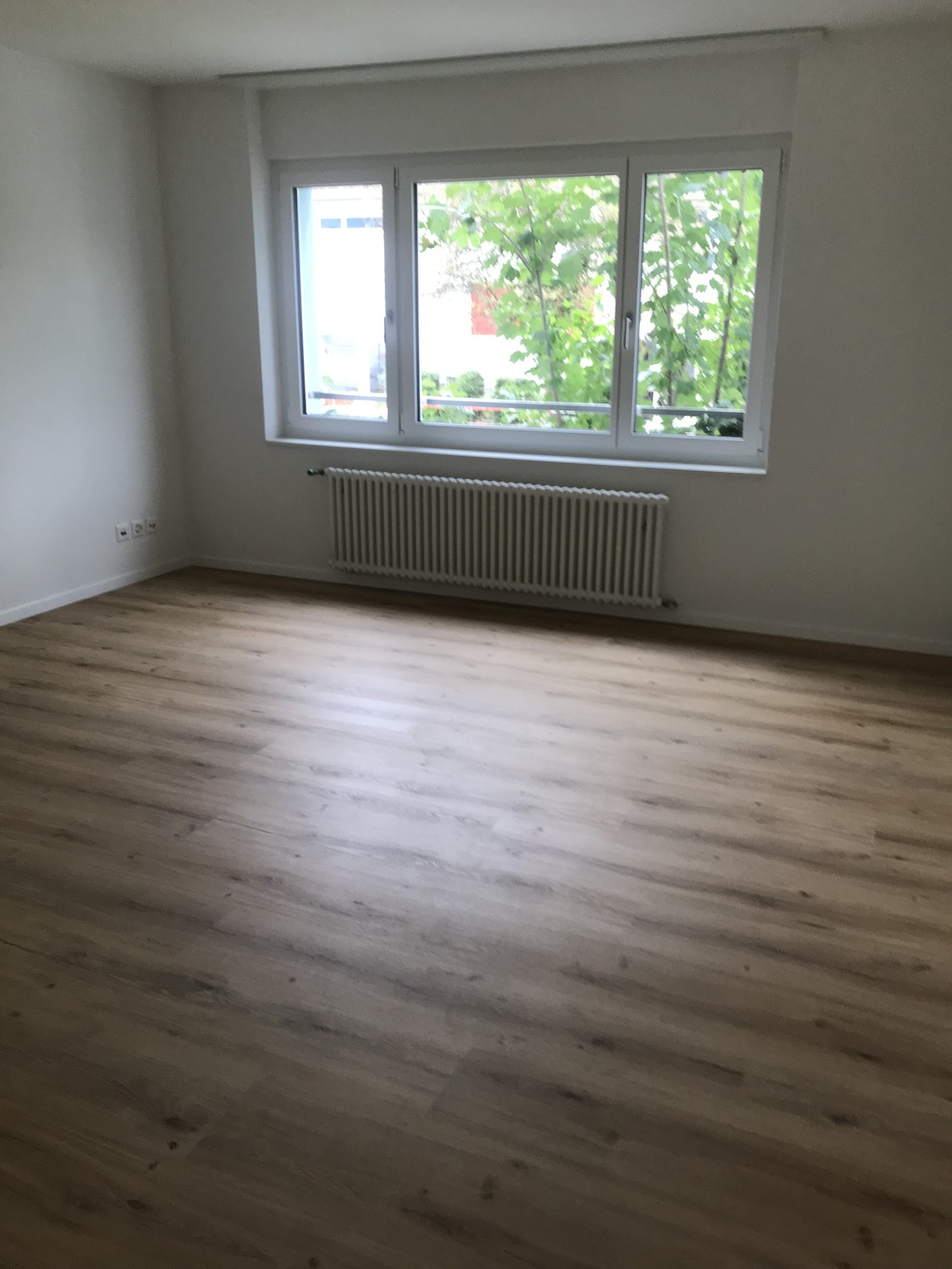 1 ½ rooms apartment, photo 3 sur 6