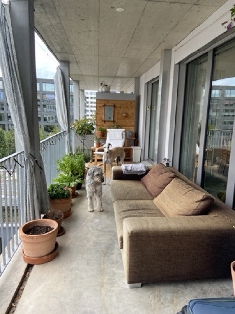 Room in a shared flat
