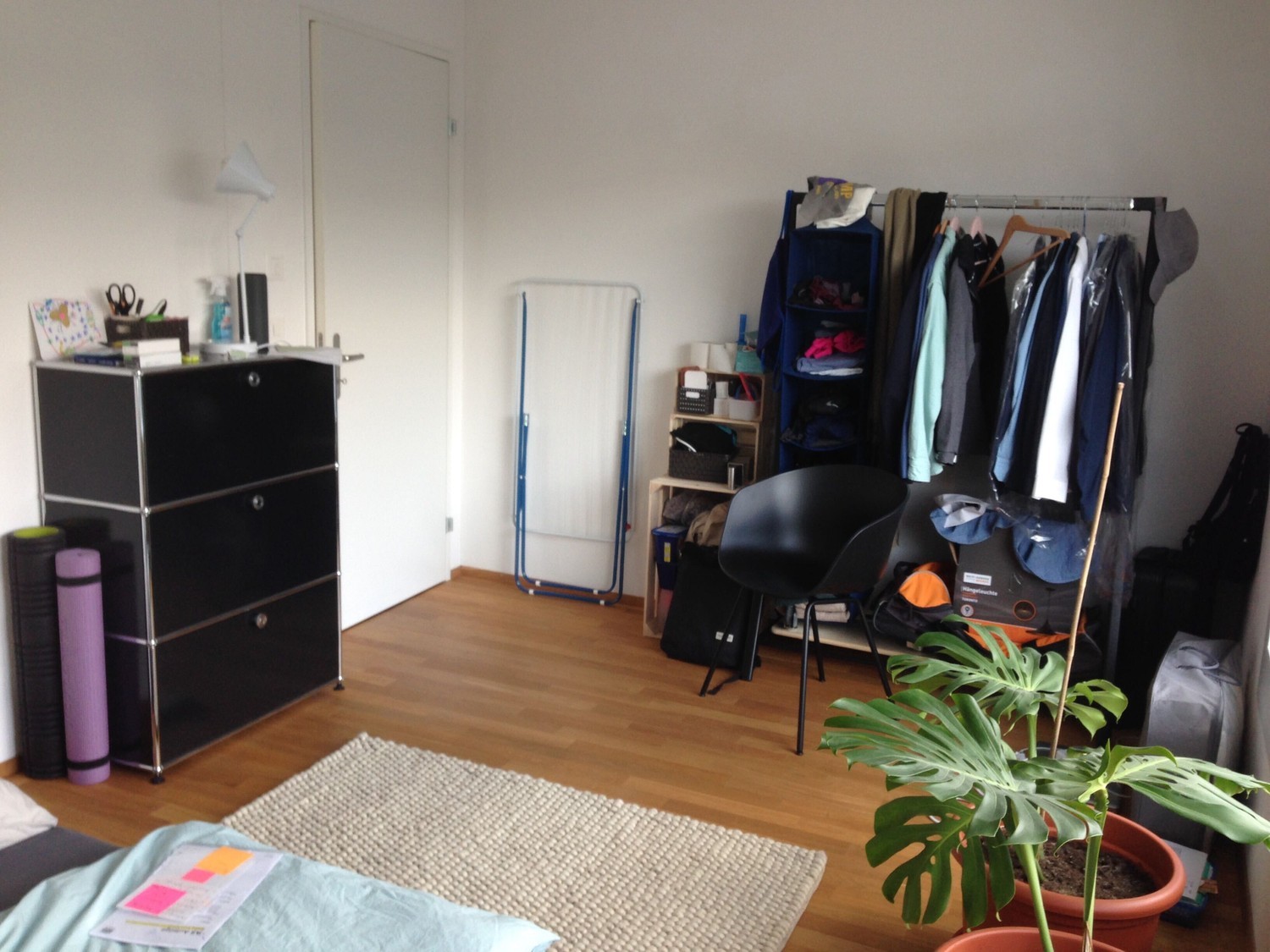 Room in a shared flat