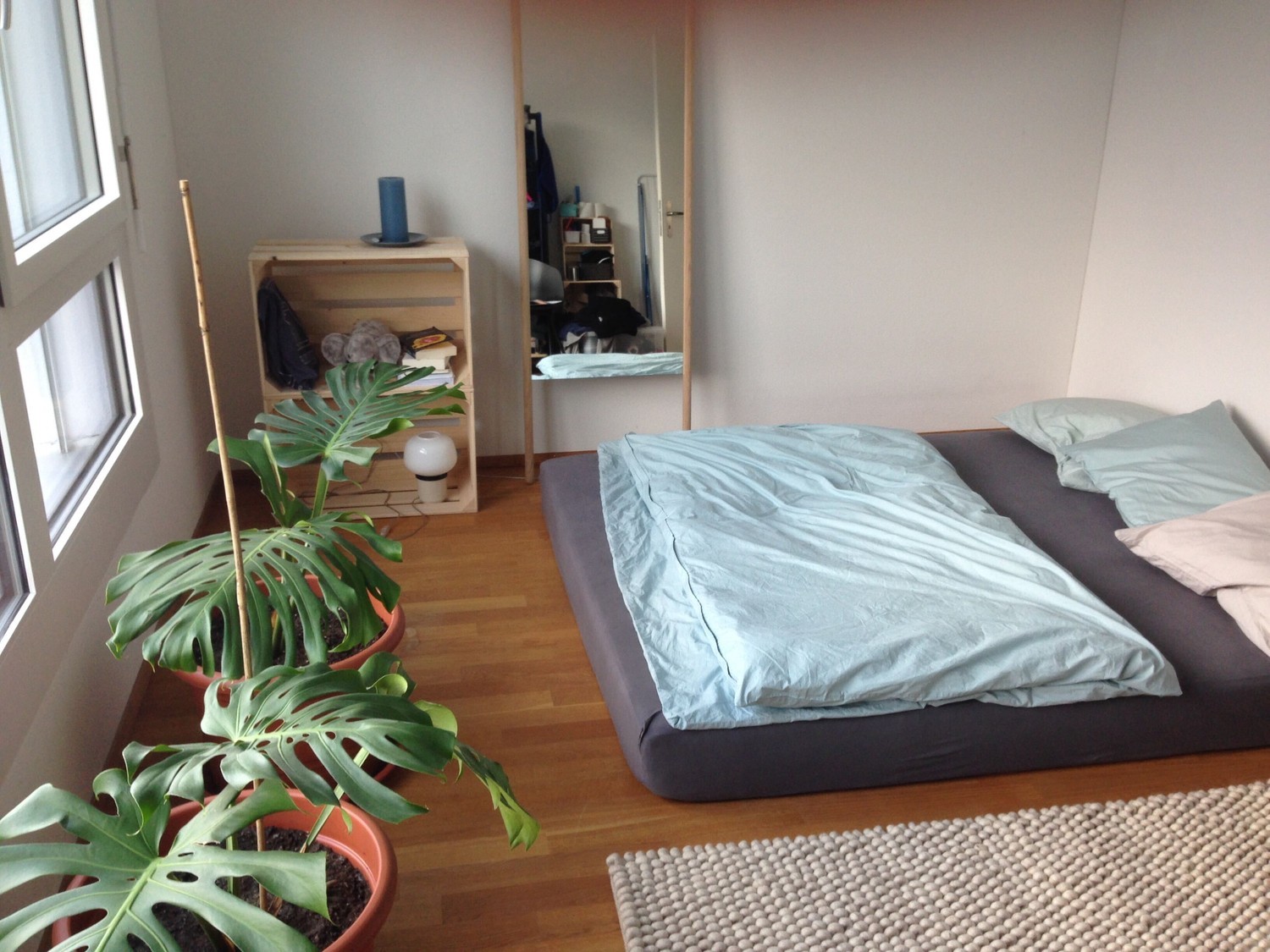 Room in a shared flat