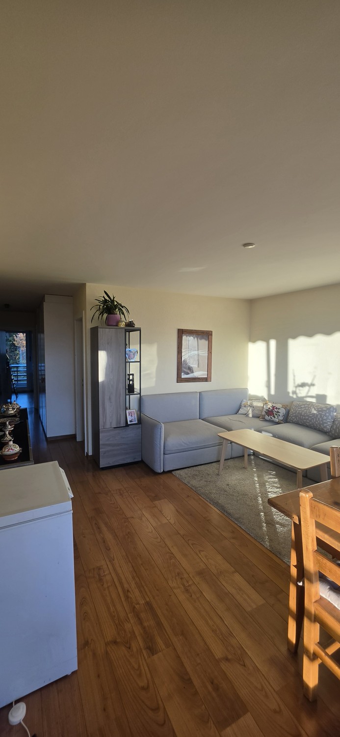 2 ½ Zimmer Wohnung