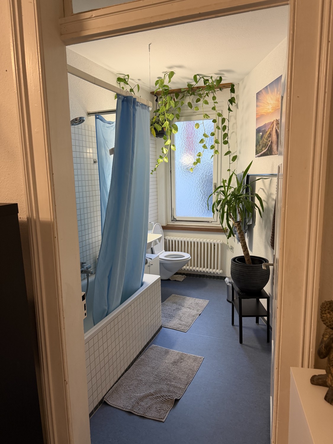 Room in a shared flat