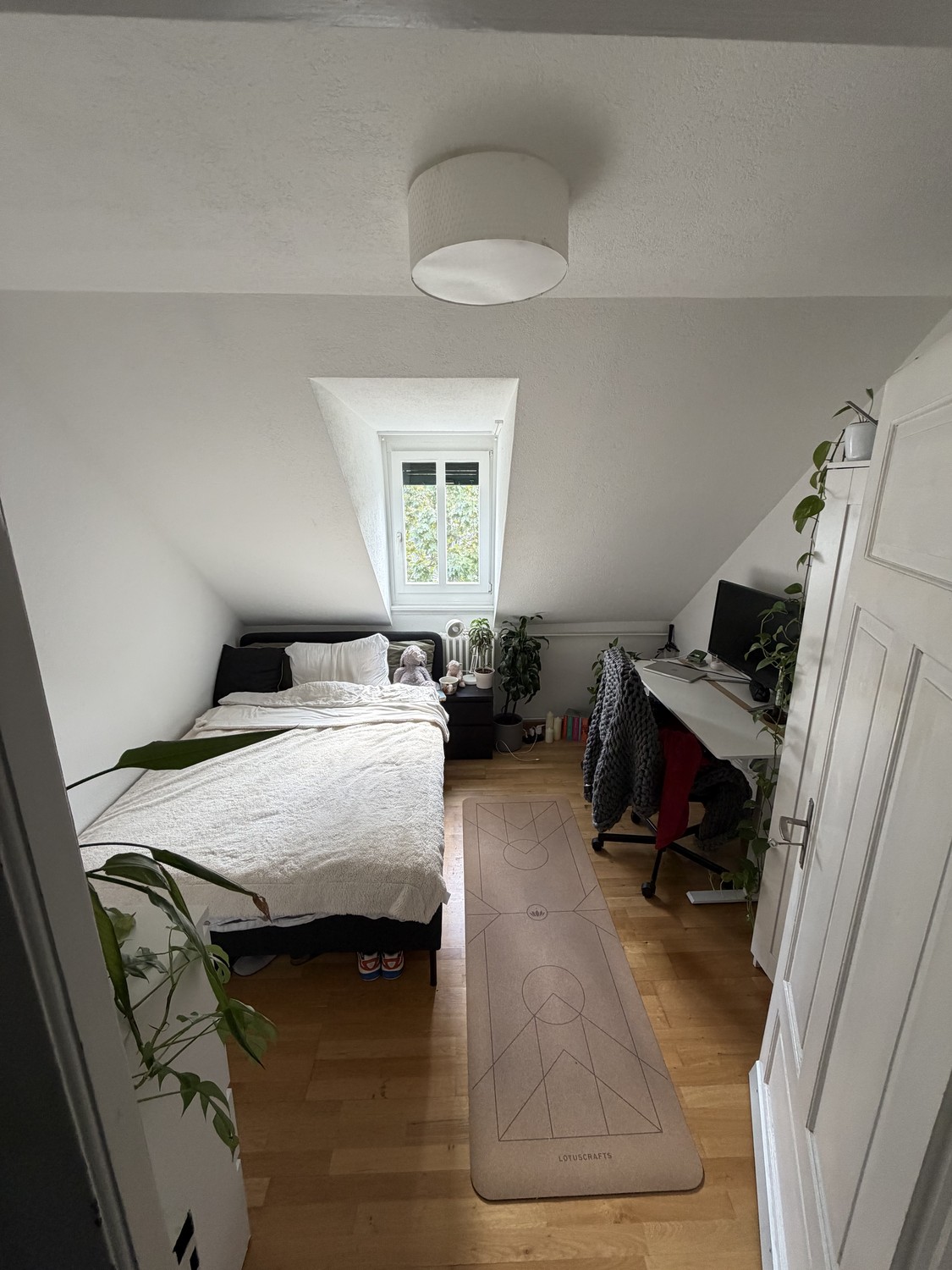 Room in a shared flat