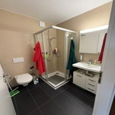 3 ½ Zimmer-Wohnung
