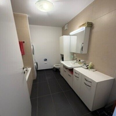 3 ½ Zimmer-Wohnung
