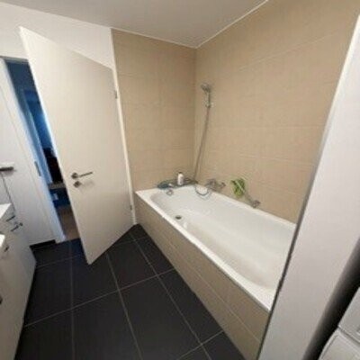 3 ½ Zimmer-Wohnung