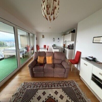 3 ½ Zimmer-Wohnung