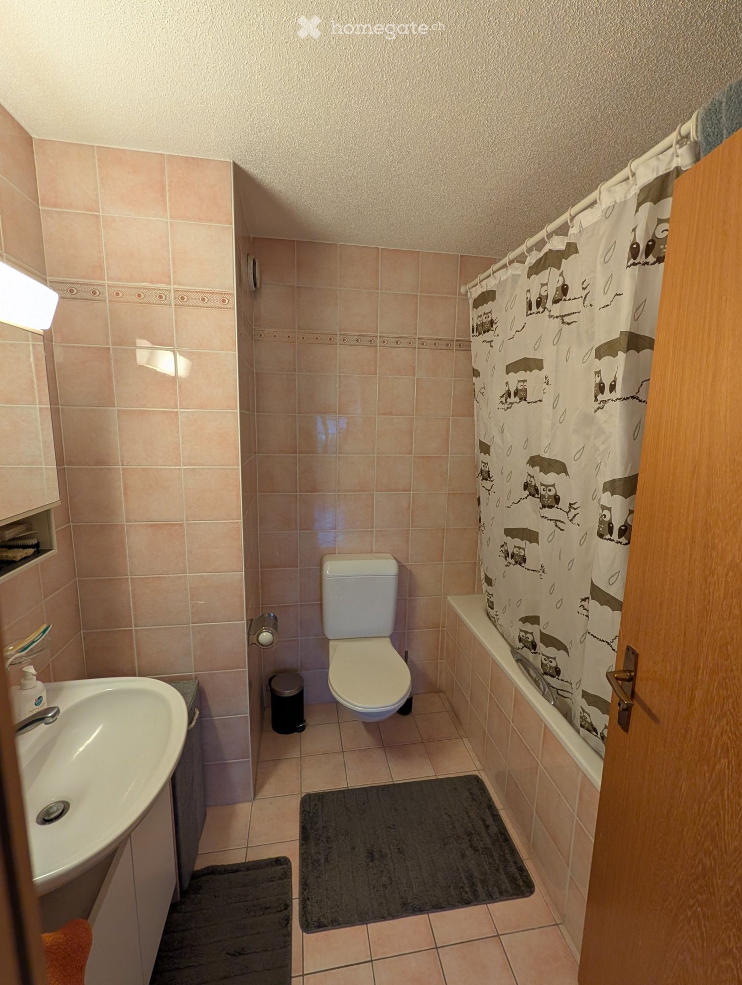 2 ½ Zimmer Wohnung, Foto 4 von 5