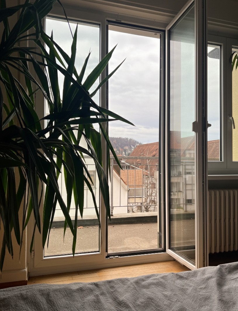 2 ½ Zimmer Wohnung, Foto 6 von 10