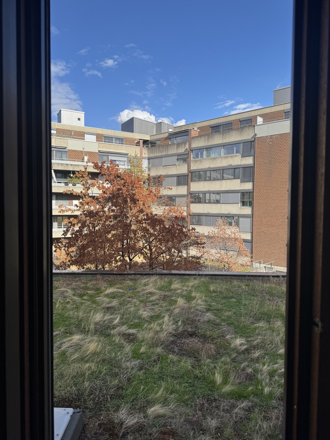 Room in a shared flat, Foto 7 von 7