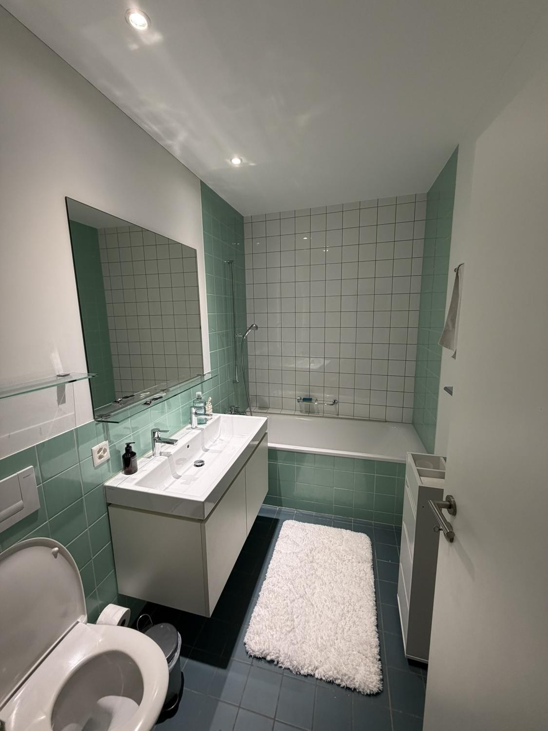 2 ½ rooms apartment