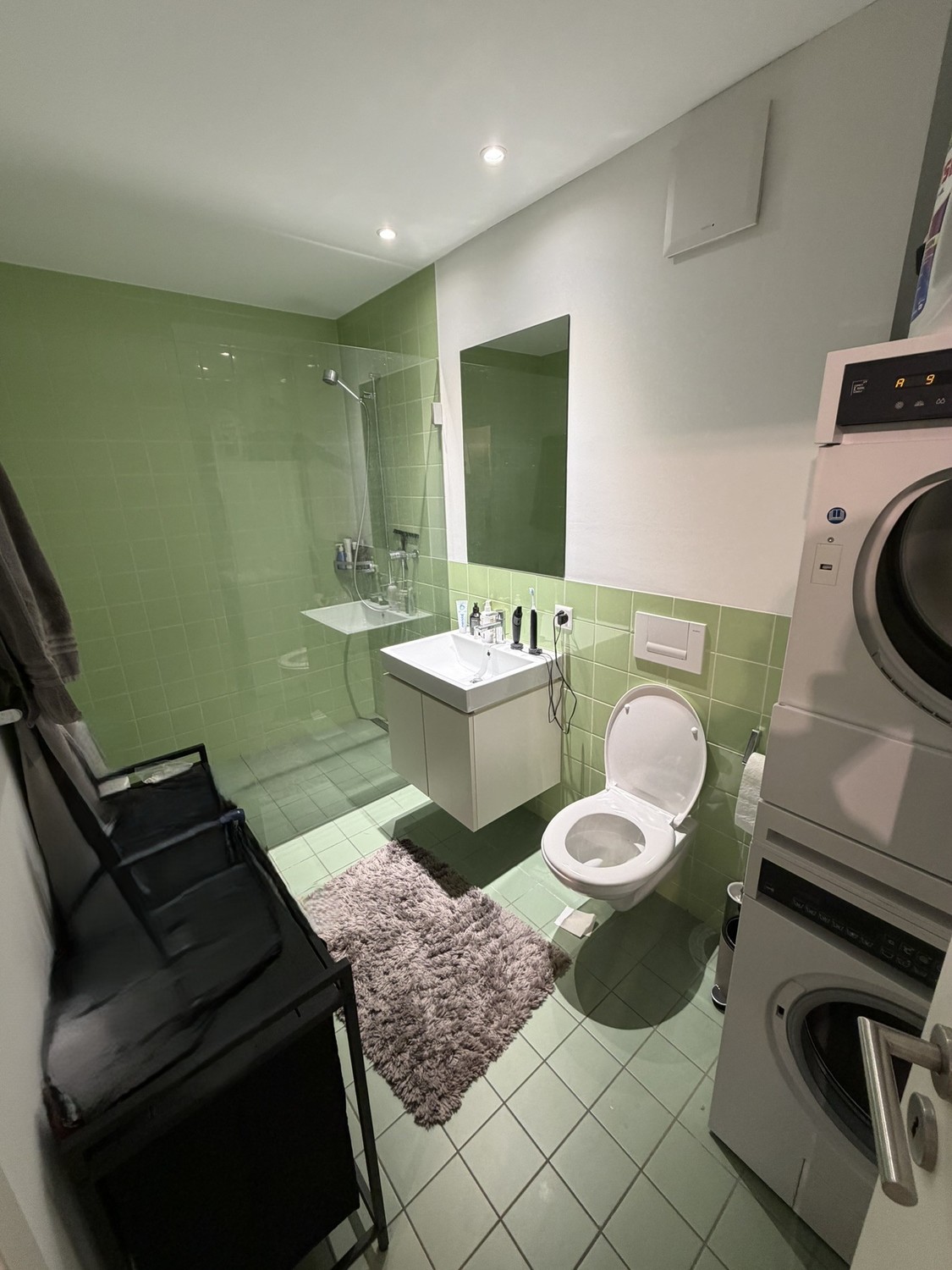 2 ½ rooms apartment