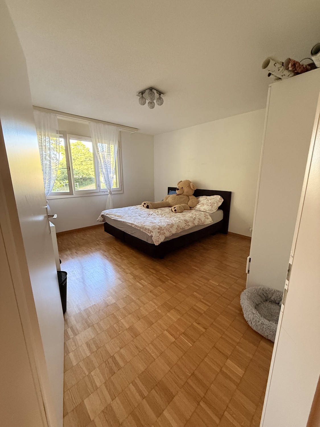 3 rooms apartment