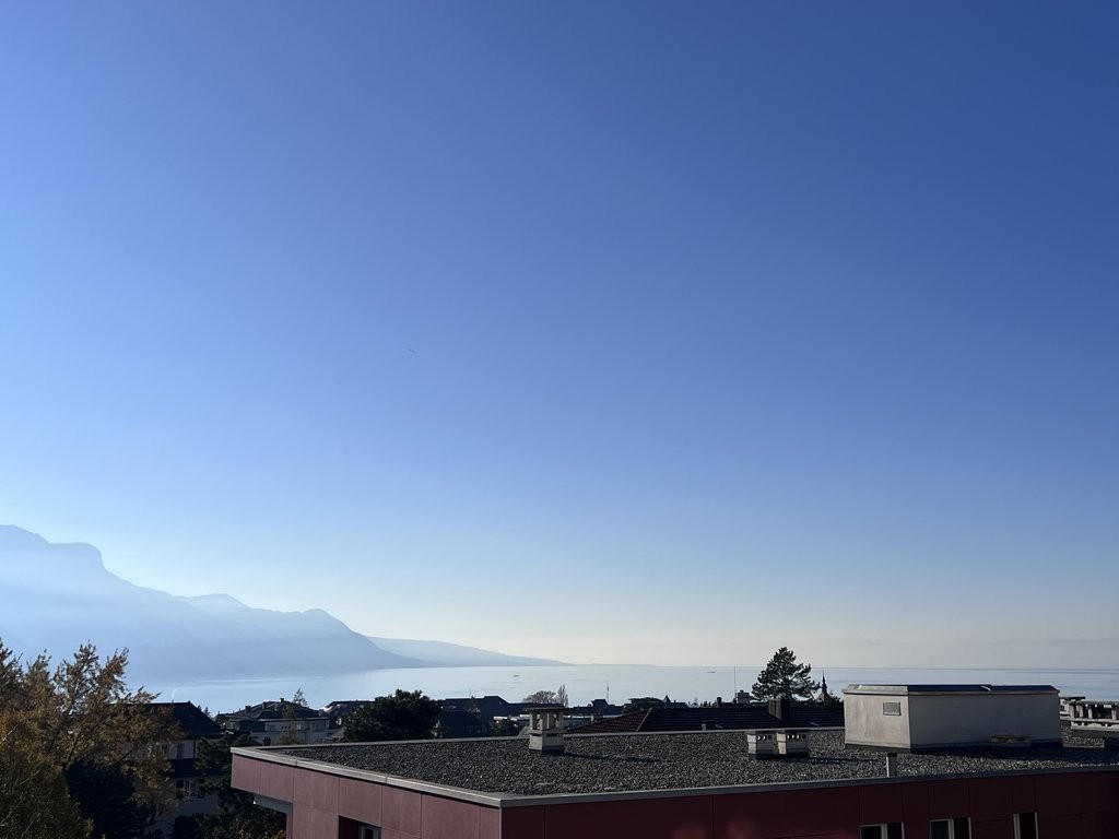 2 ½ Zimmer Wohnung