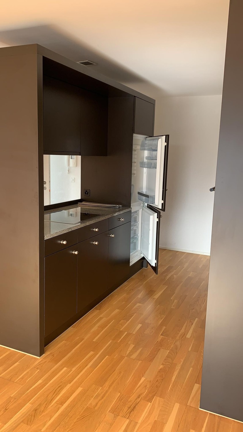 Appartement de 1 ½ pièces