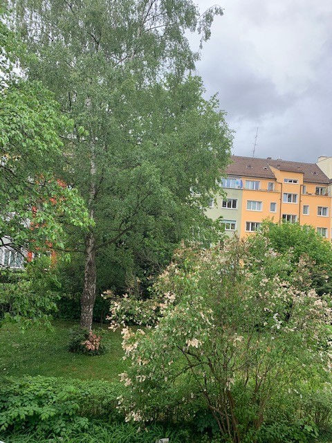 Room in a shared flat, Foto 7 von 7