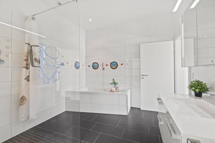 4 ½ locali appartamento con terrazza