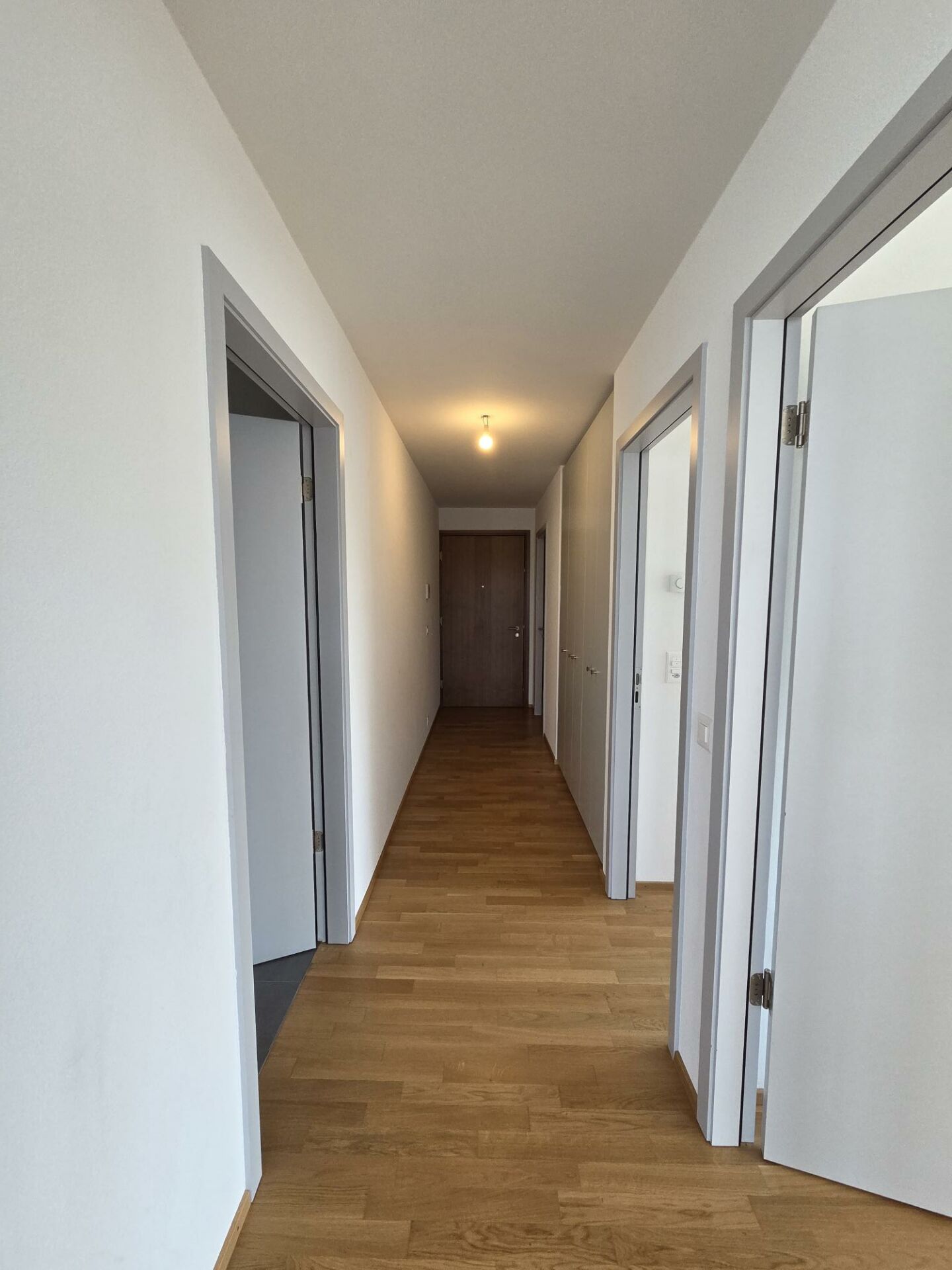 3 Zimmer Wohnung