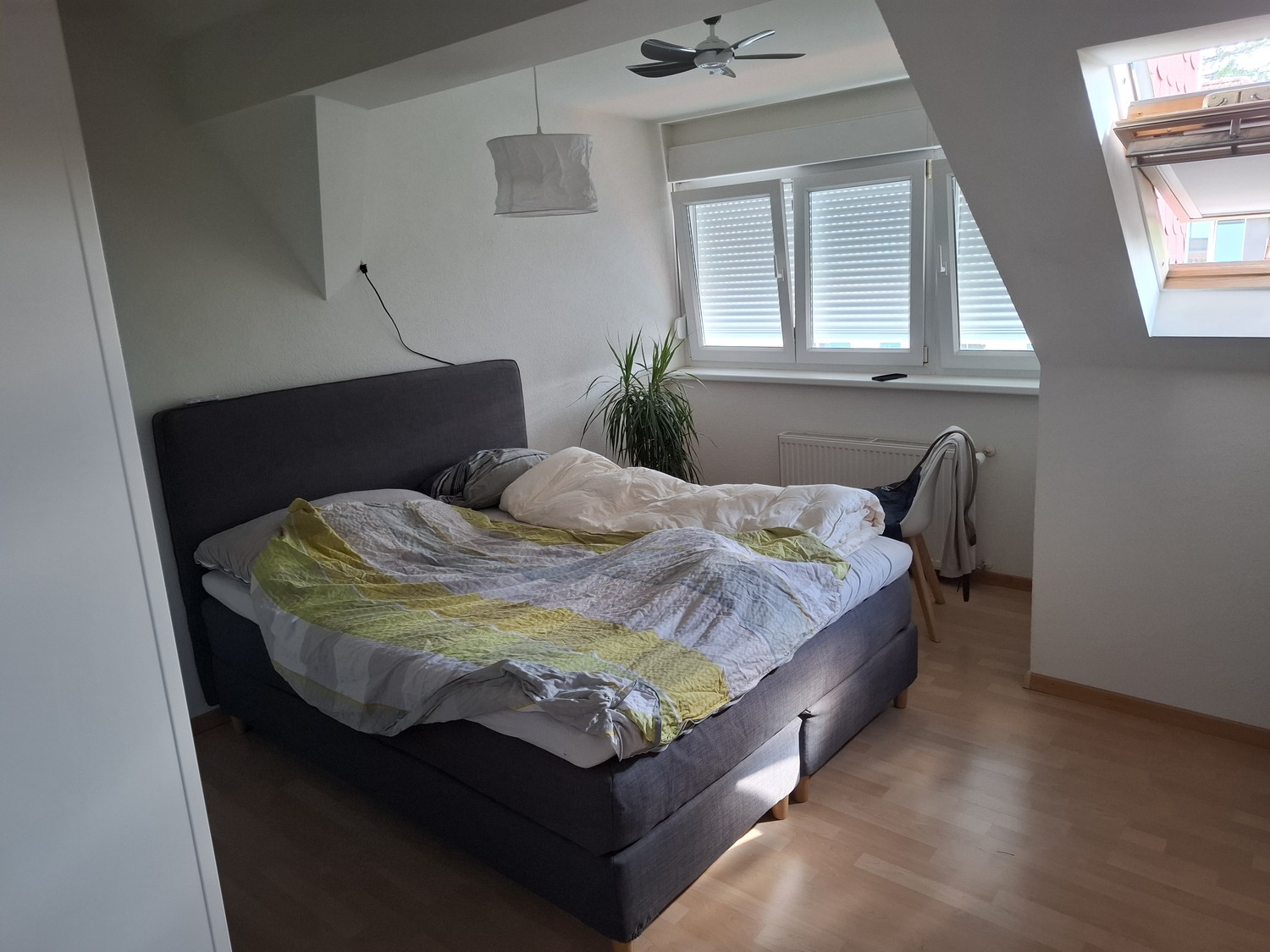 2 ½ rooms apartment, Foto 3 von 4