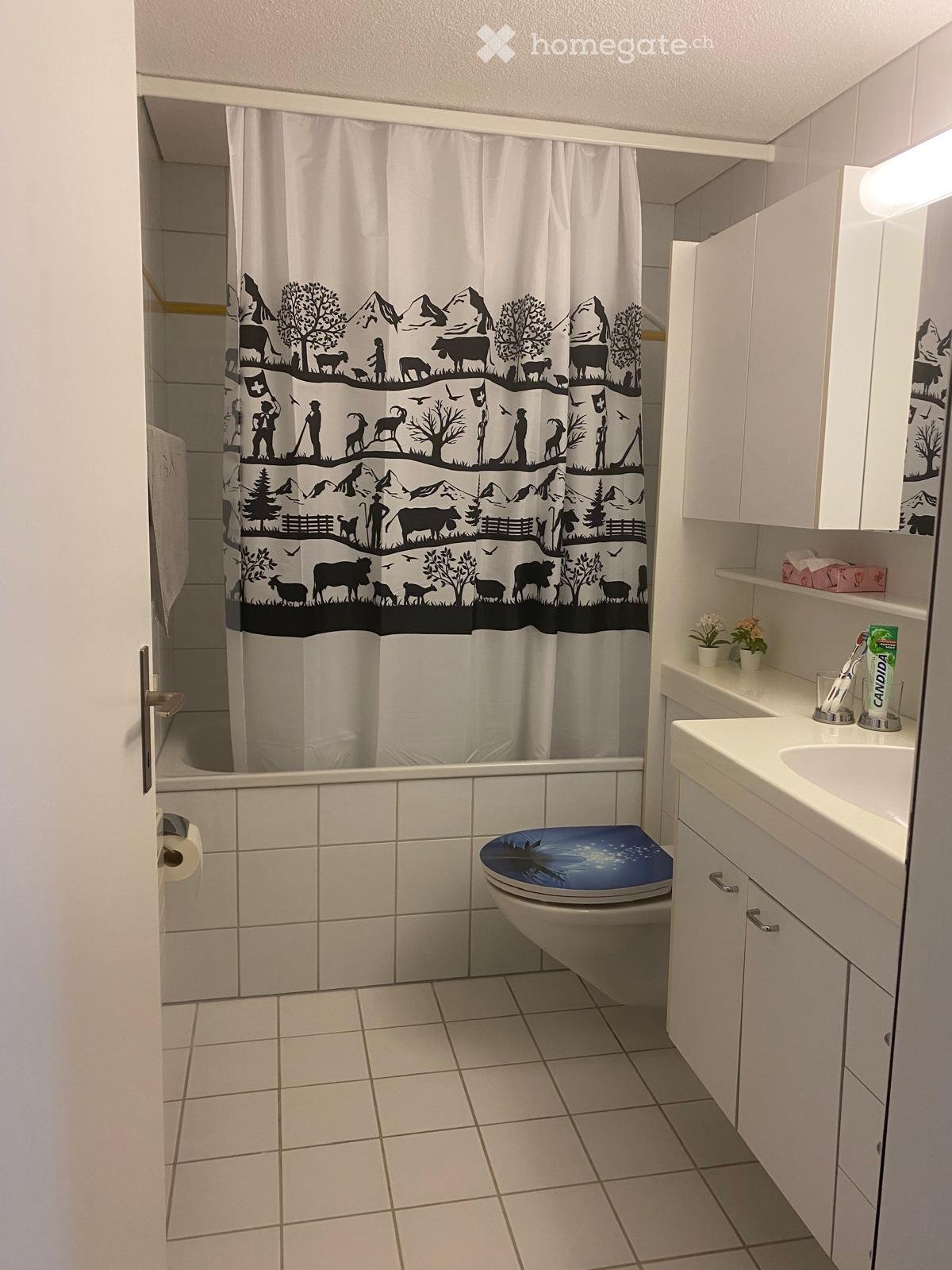 2 ½ rooms apartment, Foto 4 von 5