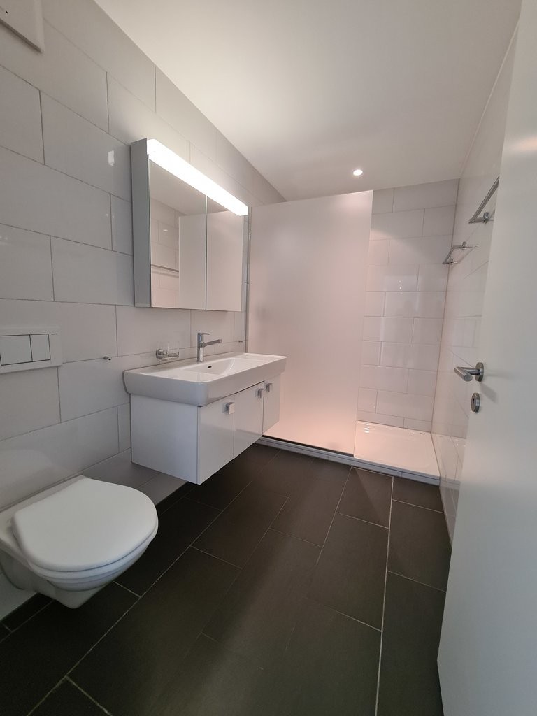 Appartement de 2 ½ pièces, photo 3 sur 5